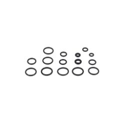 Briggs & Stratton 200346GS O-Ring Kit 