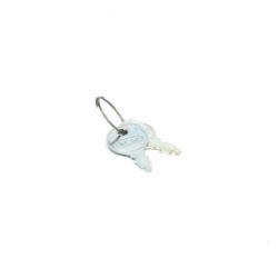 Briggs & Stratton 20729MA Keys & Ring 