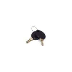 Briggs & Stratton 207652GS Latch Key 