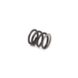 Briggs & Stratton 26826 Valve Spring 