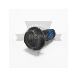 Briggs & Stratton 26X216MA Forming Thread Screw 