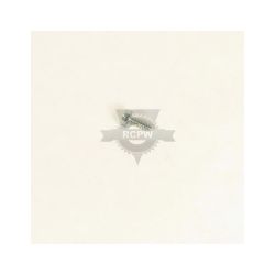 Briggs & Stratton 26X233MA #10 Type (Ards) Screw 
