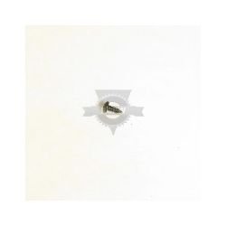 Briggs & Stratton 26X235MA #10 Blk Ox Tapping Screw 