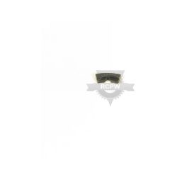 Briggs & Stratton 300790MA Chute Ring Clip 