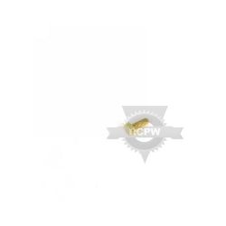 Briggs & Stratton 302628MA 1/4-20X .75 Hex Head Screw 