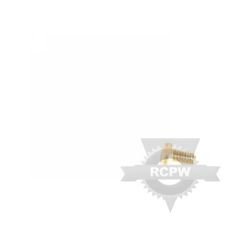 Briggs & Stratton 313686MA 1/4-20X .50 Hex Head Screw 