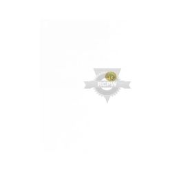 Briggs & Stratton 314276MA 1/4 Diameter Push-On Nut 