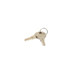 Briggs & Stratton 314290GS Latch Key 