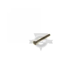 Briggs & Stratton 323035MA 1/4-20 X 2.0 Phpn Screw 