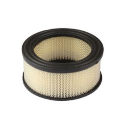 Briggs & Stratton 392286 Air Filter 