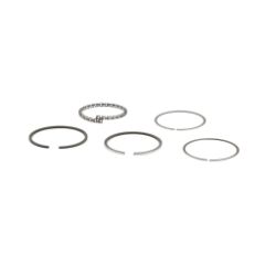 Briggs & Stratton 399067 Standard Ring Set 