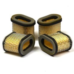 Briggs & Stratton 4224 Pack of 4 692446 