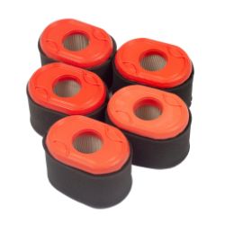 Briggs & Stratton 4238 Set of 5 796970 Air Filters 