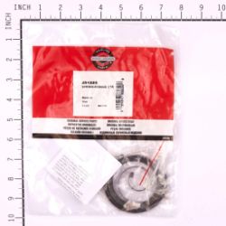 Briggs & Stratton 491889 Rewind Starter Spring - BRS 491889