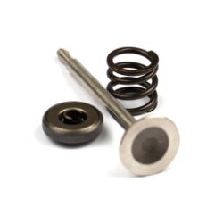 Briggs & Stratton 494191 Exhaust Valve - BRS 494191