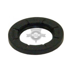 Briggs & Stratton 495307S Oil Seal 