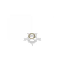 Briggs & Stratton 53748MA 1.00 Flat Washer 