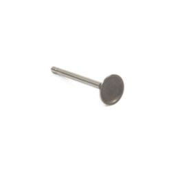 Briggs & Stratton 555551 Intake Valve 
