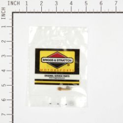 Briggs & Stratton 555585 Idle Mixture Kit - BRS 555585