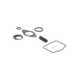 Briggs & Stratton 555605 Carburetor Overhaul Kit 