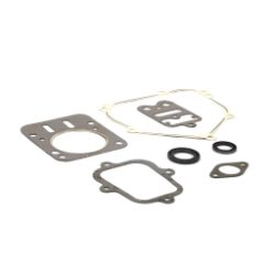 Briggs & Stratton 555631 Engine Gasket Set 