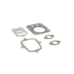 Briggs & Stratton 555636 Valve Gasket Set 