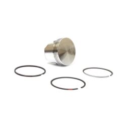 Briggs & Stratton 555661 Piston Assembly +.010 - BRS 555661