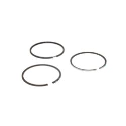Briggs & Stratton 555666 Ring Set +.020 