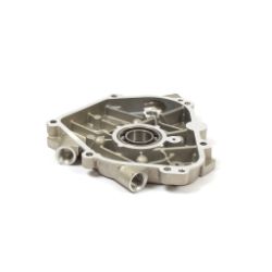 Briggs & Stratton 555706 Crankcase Cover - BRS 555706