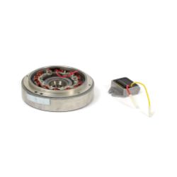 Briggs & Stratton 555773 Flywheel/Stator Kit 