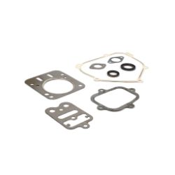 Briggs & Stratton 557110 Engine Gasket Set - BRS 557110