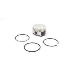 Briggs & Stratton 557123 Piston Assembly +.020 