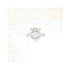 Briggs & Stratton 579861MA .752X .9 Flat Washer 