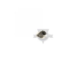 Briggs & Stratton 581540MA Auger Impeller B Pad 
