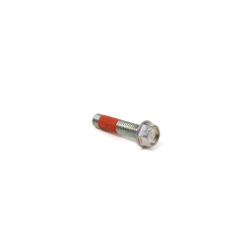 Briggs & Stratton 594761 Screw 