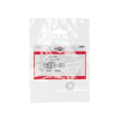 Briggs & Stratton 597039 Fuel Filter - BRS 597039