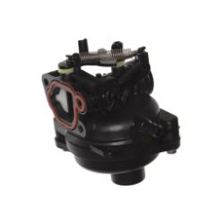Briggs & Stratton 597096 Carburetor 