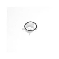 Briggs & Stratton 690589 O-Ring Seal 