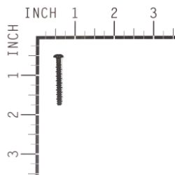 Briggs & Stratton 690700 Screw - BRS 690700