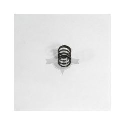 Briggs & Stratton 691304 Valve Spring 
