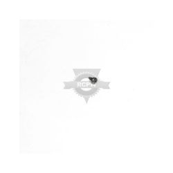 Briggs & Stratton 691655 Screw 