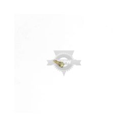 Briggs & Stratton 691666 Screw 