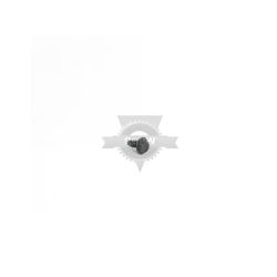 Briggs & Stratton 691669 Screw 