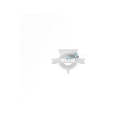 Briggs & Stratton 691696 Screw 
