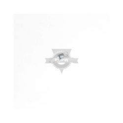 Briggs & Stratton 691807 Governed Idle Spring 
