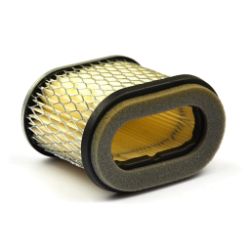 Briggs & Stratton 692446 Air Filter 