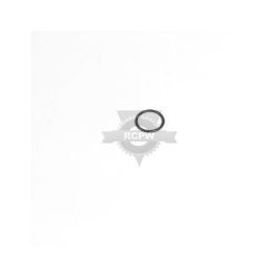 Briggs & Stratton 692532 O-Ring Seal 
