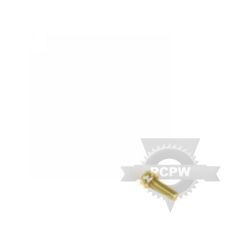 Briggs & Stratton 695407 Screw 
