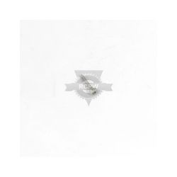 Briggs & Stratton 696893 Screw 