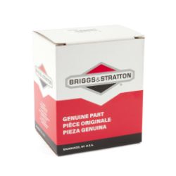 Briggs & Stratton 697029 Air Filter 